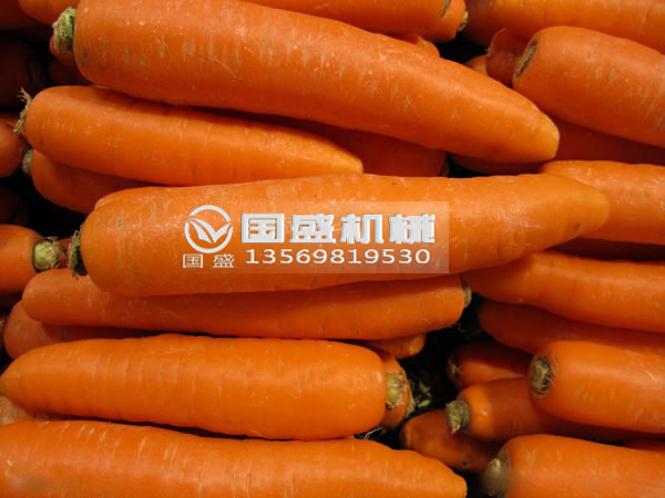 國盛胡蘿卜脫水擠壓機 國盛胡蘿卜脫水擠壓機