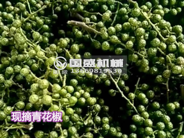 螺旋壓榨機彈簧 螺旋壓榨機彈簧